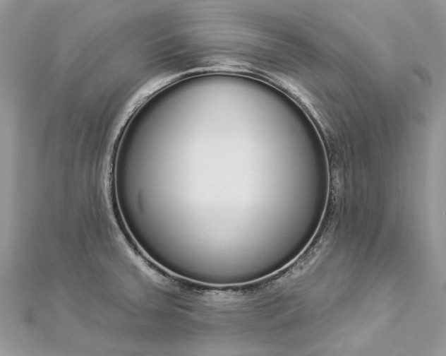 X0000112821379200909041506