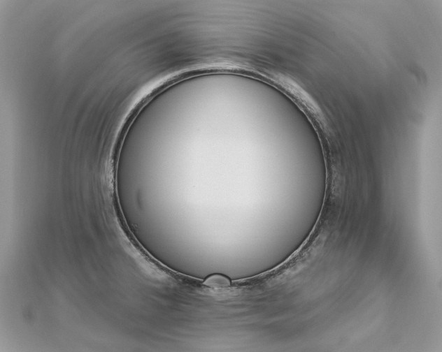 X0000112821380200909041506