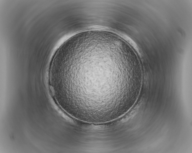 X0000112821381200909041506