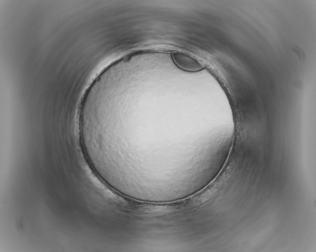 X0000112821382200909041506