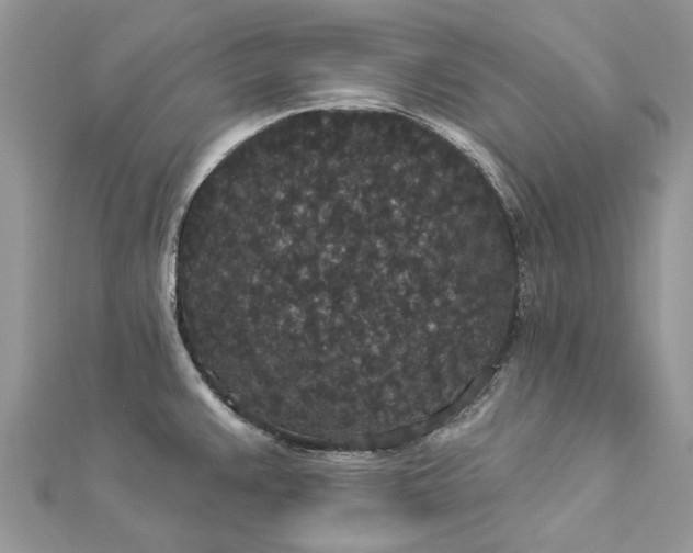 X0000112821383200909041506