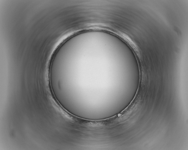 X0000112821384200909041506