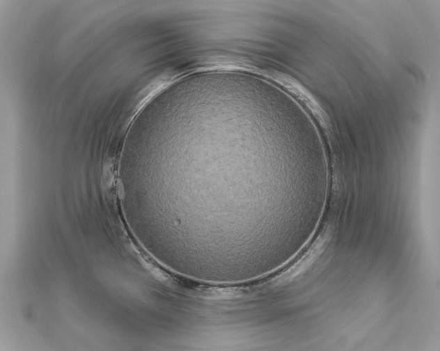 X0000112821385200909041506