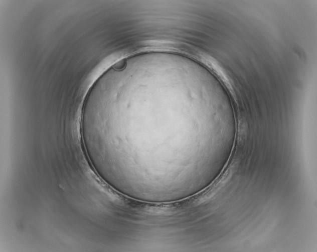 X0000112821386200909041506