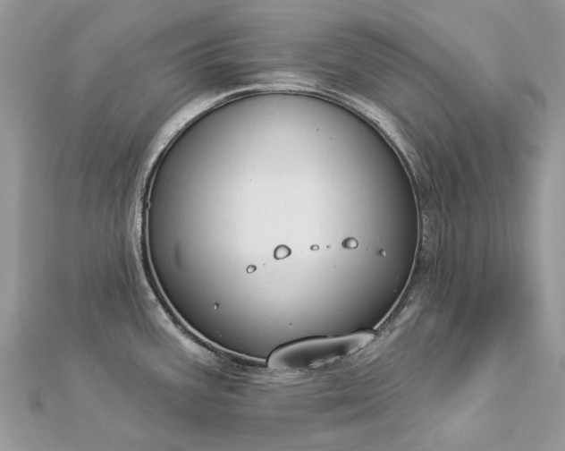 X0000112821387200909041506