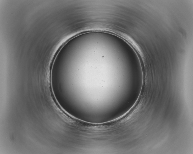 X0000112821388200909041506