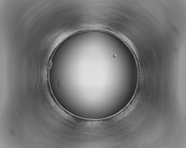 X0000112821389200909041506