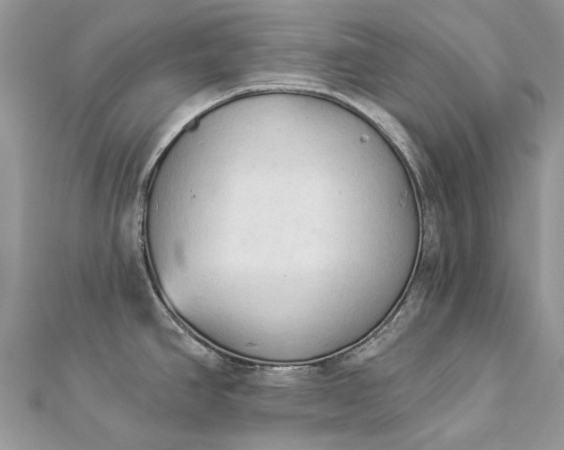 X0000112821390200909041506