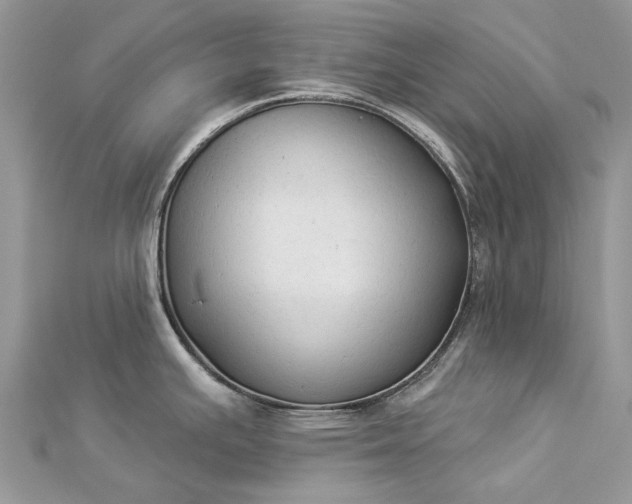 X0000112821391200909041506