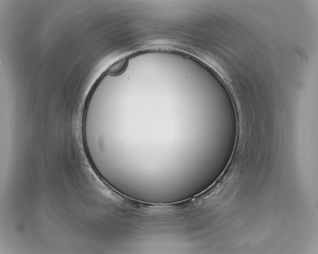 X0000112821392200909041506