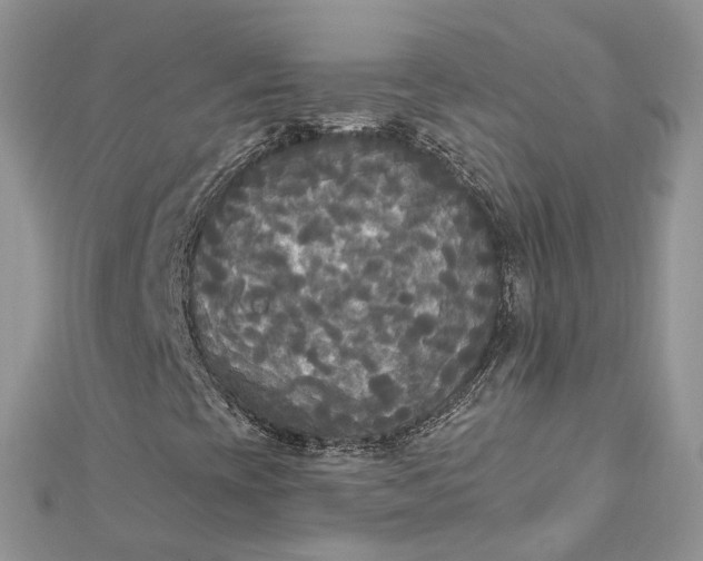 X0000112821393200909041505