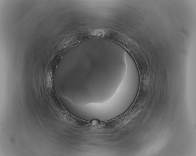 X0000112821394200909041505