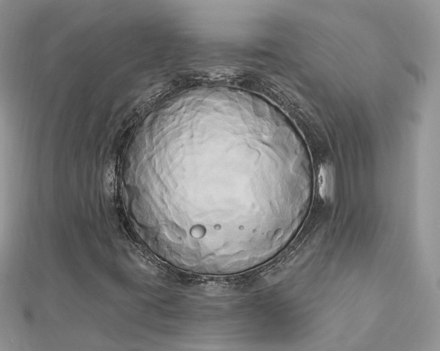 X0000112821395200909041505