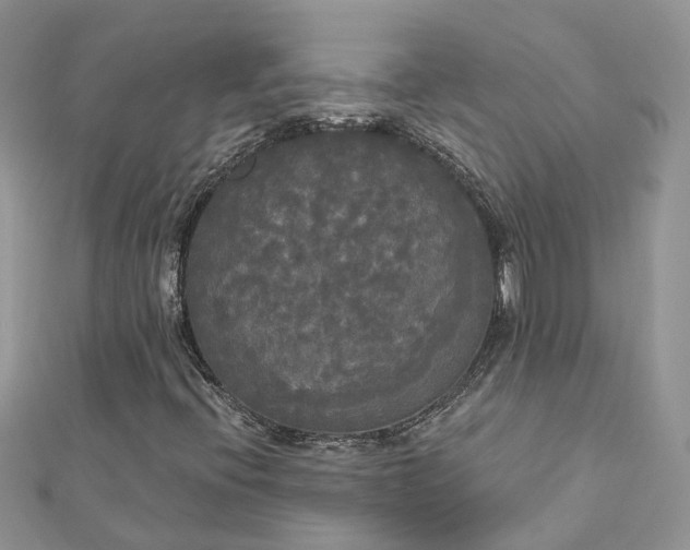 X0000112821396200909041505