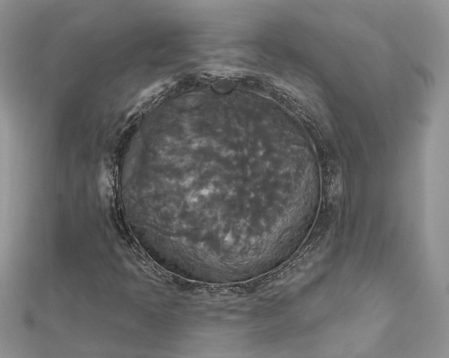 X0000112821397200909041505