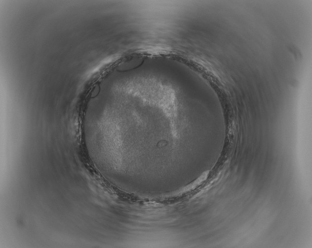 X0000112821398200909041505