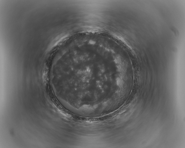 X0000112821399200909041505