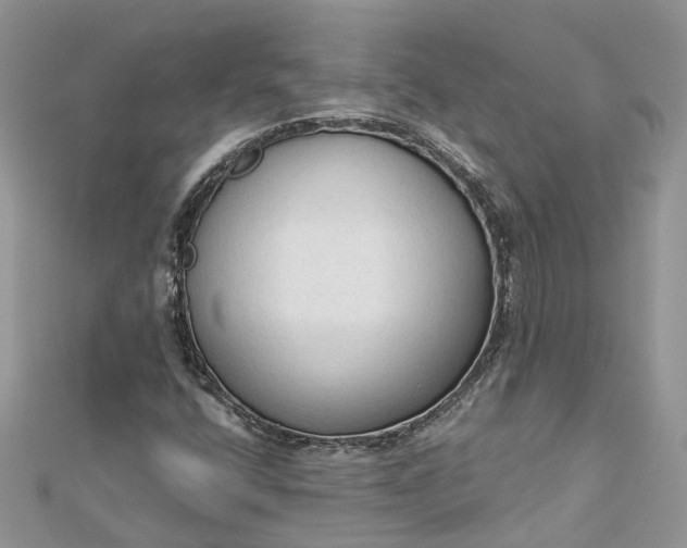 X0000112821400200909041505