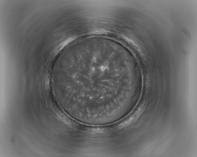 X0000112821401200909041505