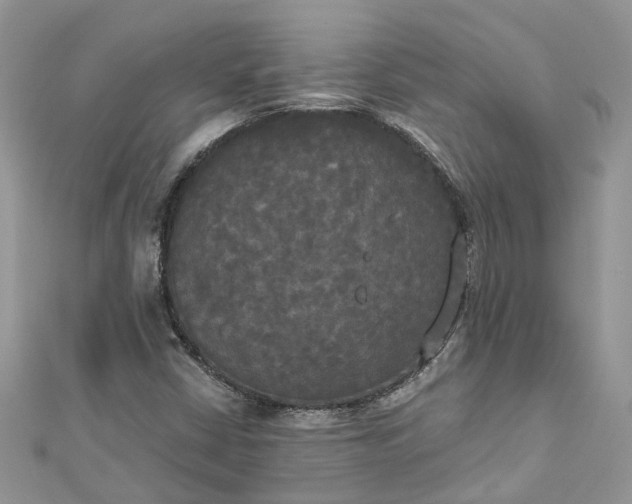 X0000112821402200909041505