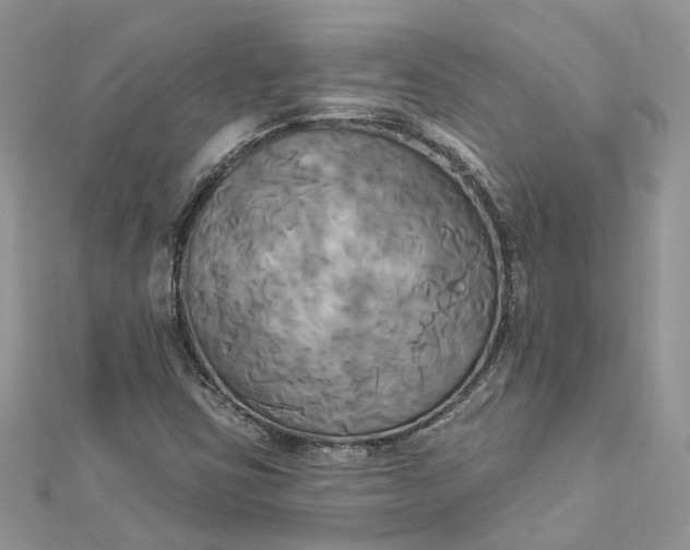 X0000112821403200909041505