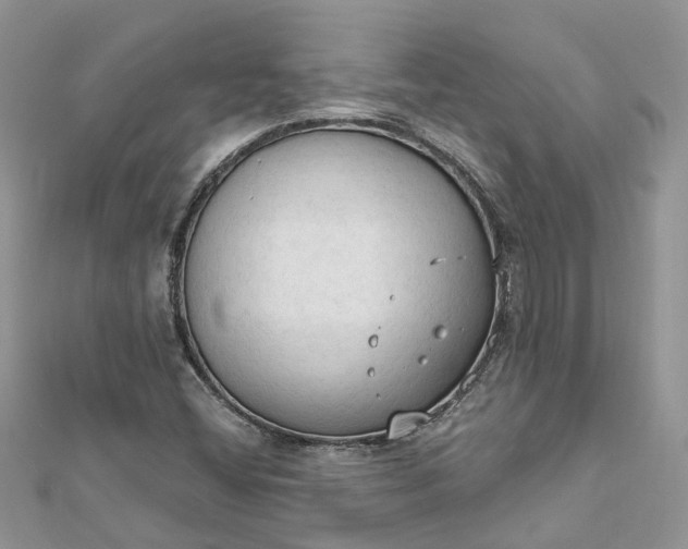 X0000112821404200909041505