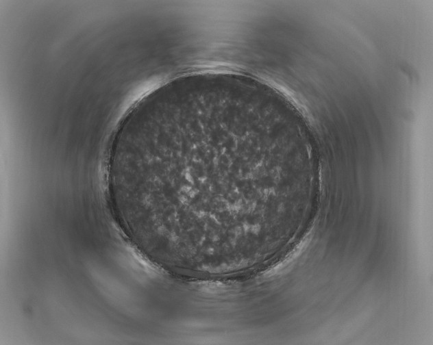 X0000112821405200909041505