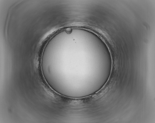 X0000112821406200909041505