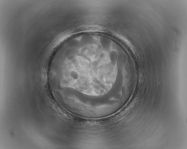 X0000112821407200909041505