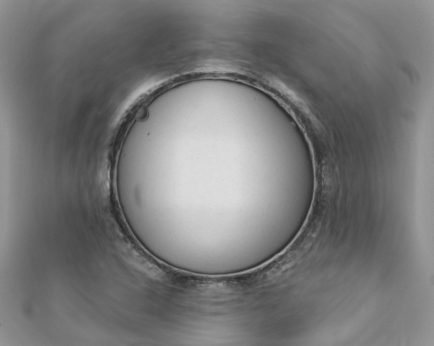 X0000112821408200909041505