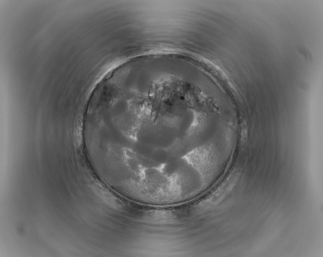 X0000112821409200909041505