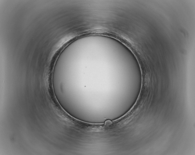 X0000112821410200909041505