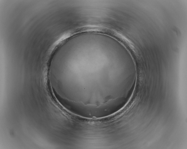 X0000112821411200909041505