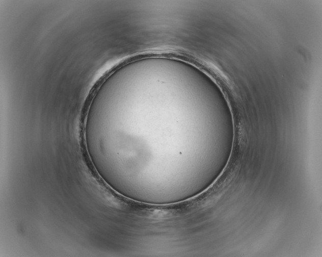 X0000112821412200909041505