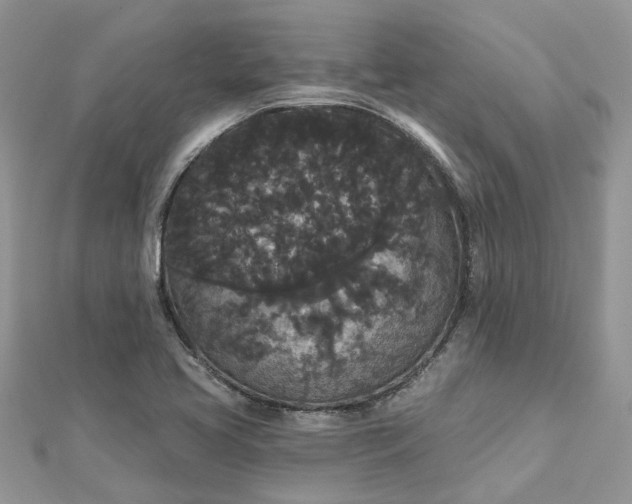 X0000112821413200909041505