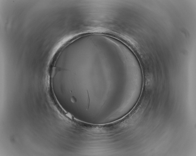 X0000112821414200909041505