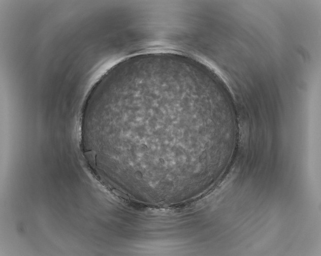 X0000112821415200909041505