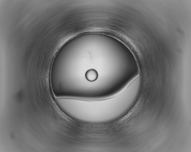 X0000112821417200909041505