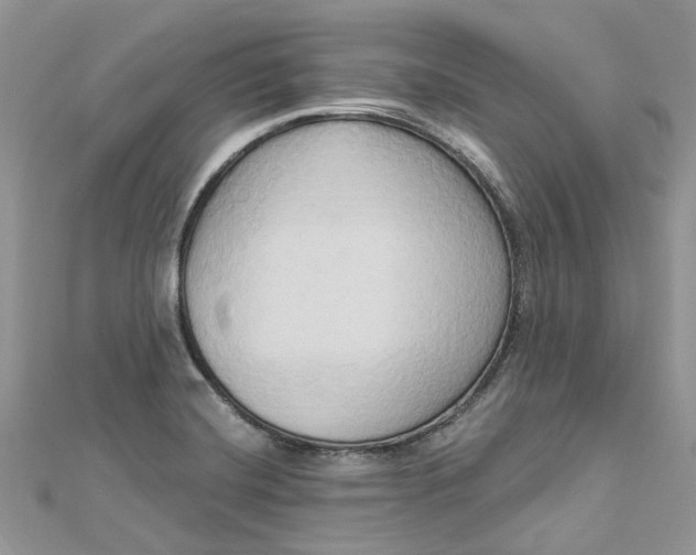 X0000112821420200909041505