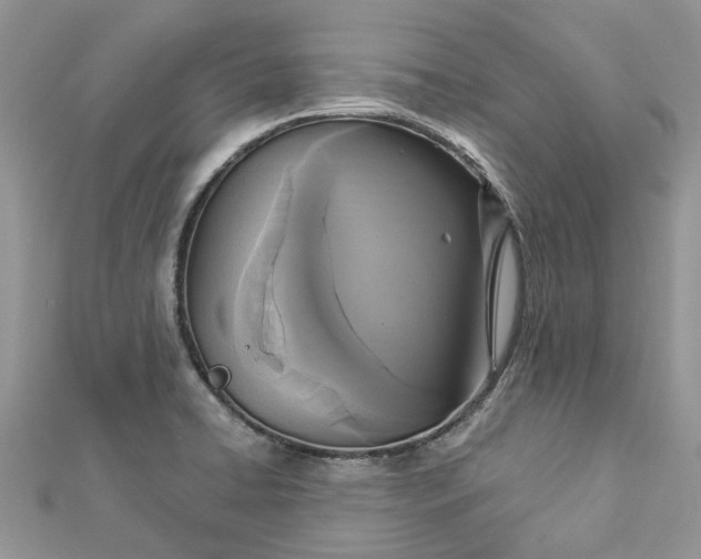 X0000112821422200909041505