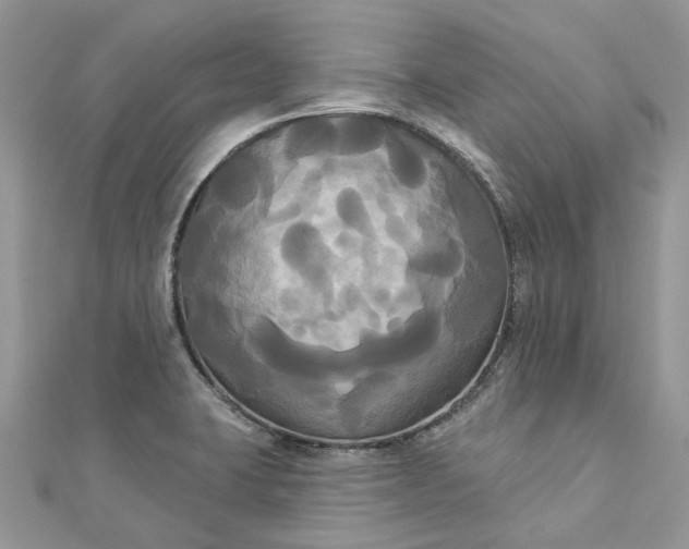 X0000112821423200909041505