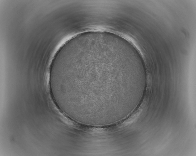 X0000112821424200909041505