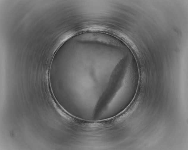 X0000112821425200909041505