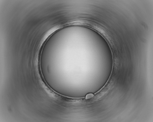 X0000112821426200909041505