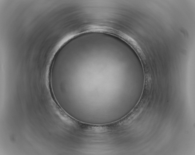 X0000112821427200909041505