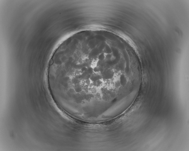 X0000112821429200909041505