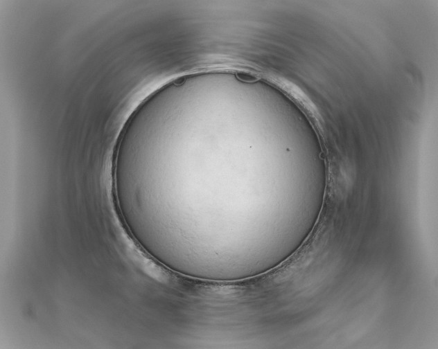 X0000112821431200909041505