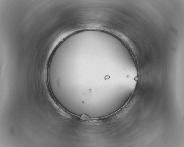 X0000112821432200909041505