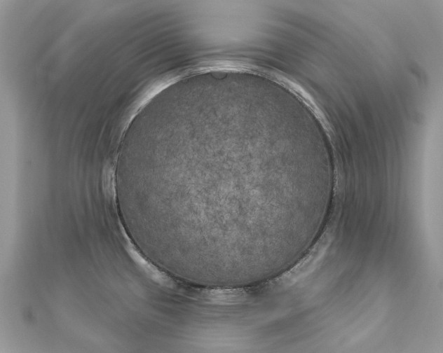 X0000112821433200909041505