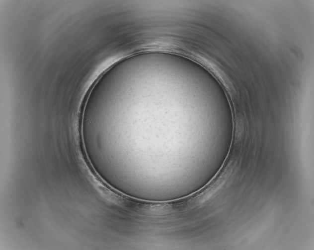 X0000112821434200909041505